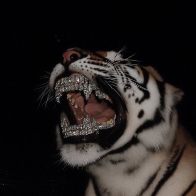 killdemfrauds's profile picture. non biased and NOT a stan of anybody