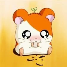 komewon's profile picture. 