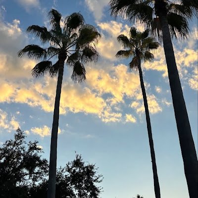 ihs_1183's profile picture. 