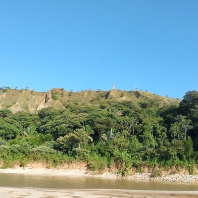 MorattosL68424's profile picture. Comerciante