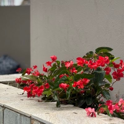 DrFPhD's profile picture. 