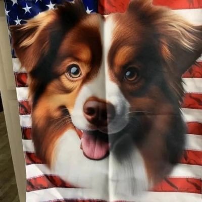 MorganHarr48413's profile picture. 