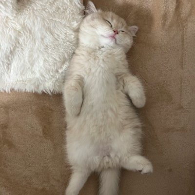 C_Euphoria_C's profile picture. Whether it’s exploring a city or finding the best local cuisine, I’m always seeking the next experience