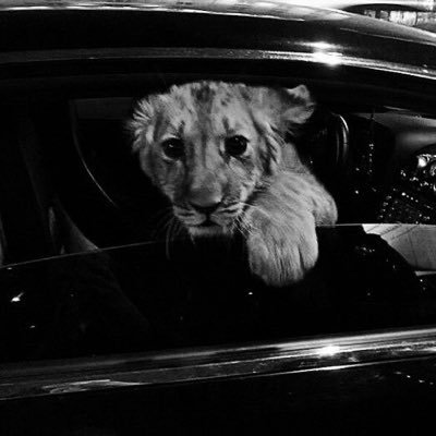 oxghostt's profile picture. “And do not walk on the earth arrogantly, surely you can neither crack the earth nor stretch to the height of the mountains” Quran (17:37)