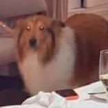 minos_21's profile picture. Opinólogo. Entusiasta de David Bowie y de Patricio Rey y sus redonditos de ricota. De Racing Club 💙🤍💙