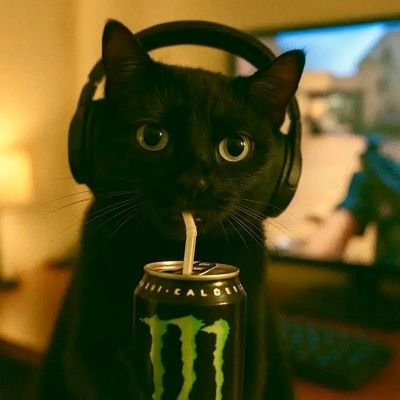 Boluwatife5304's profile picture. 