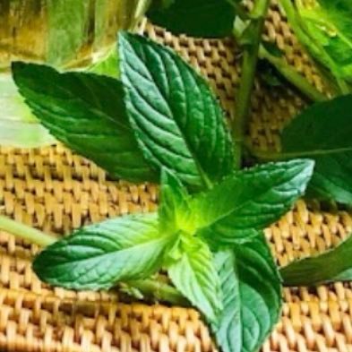 mint_web_code's profile picture. 🌈人生を楽しむ🌈☀️をモットーに毎日を過ごすアラフィフ主婦😎 現在はプログラミングにハマり、朝活で4:30起き、すき間時間を見つけて勉強中✍🏻💻 人生100年時代、まだまだ頑張るぞー🔥💪