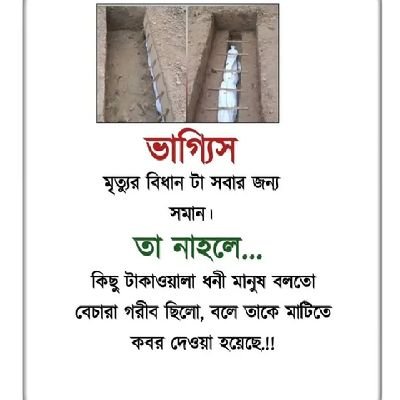 Tupan1995's profile picture. 