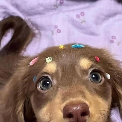 isabellebriann's profile picture. 19