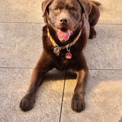 mickgould666's profile picture. 🧠 Neurosurgeon by profession | 🎨 Art lover by passion | Merging science and creativity one masterpiece at a time