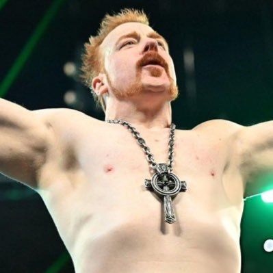 BeatsOfBodhran's profile picture. They got the tendency of callin’ me a nice guy with the reputation for being a hot head, although the niceness these days—not much. ┊ @WWESheamus parody.