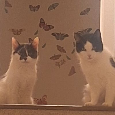 increase10002's profile picture. Daughter, sister, Auntie, wife, mom, grandma, vegan, a child of the MOST HIGH. 
The truth will either destroy you or set you free.
Golden State Warriors 💛