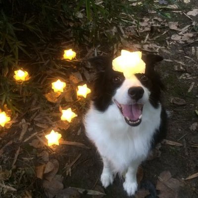 ligonis64's profile picture. 