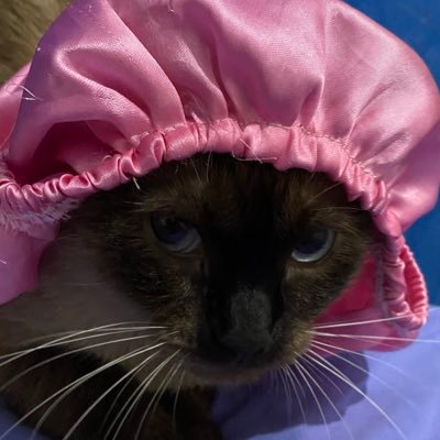 Giselle67365835's profile picture. 