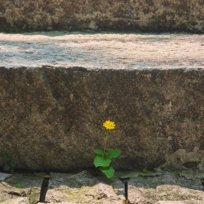 vdbhoo's profile picture. いい天気☀️と美味しいコーヒー☕、それで十分幸せ🌷