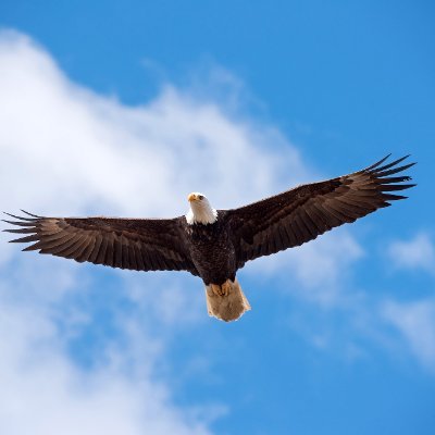 01Megad's profile picture. AS HE IS, SO AM I  ||  A god  ||  INVESTING 📈 AND BUILDING MY PORTFOLIO 🧱BY🧱  ||  STOCKS 📊ANALYST ||
FOUNDER @megdia_ng