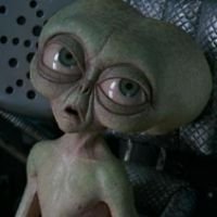 lautiidamian7's profile picture. Developer 🧑🏻‍💻