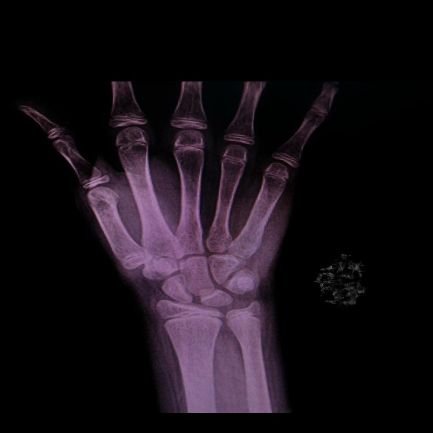 azoo911212's profile picture. 