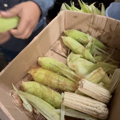 spideytwist's profile picture. Mexicano. Ser crítico es la más grande libertad que existe. Afición por Nietzsche, Carl Jung y Freud.