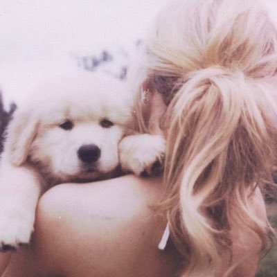 bbypov's profile picture. harry style’s wife