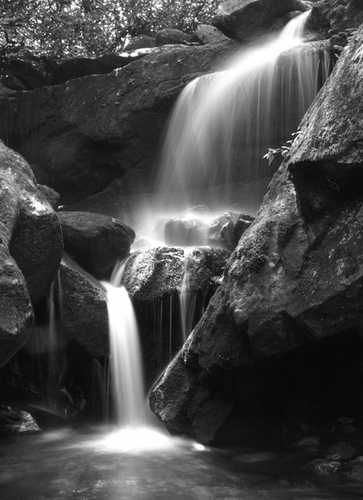 dtrphotos's profile picture. Hobby Photographers in Florida. We have done and will do some portrait and glamour photos but on a limited basis only. Call: 727.207.9142 or Tweet