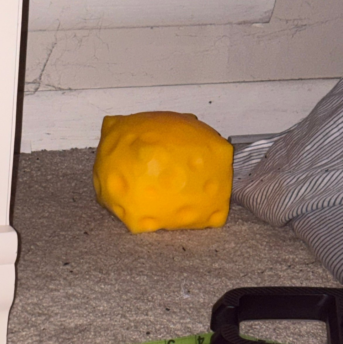 primordial_chee's profile picture. hey guys I’m an artist looking to make some money through commissions in order to save for college