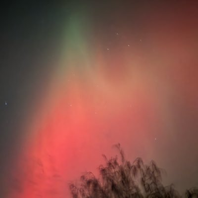 ramosjames1977's profile picture. I have 6 kids, I’m full of sarcasm, and I still enjoy the life I have. (Even if it’s chaotic!)