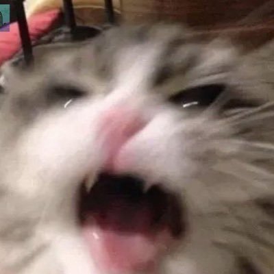 lonewhisperss's profile picture. 