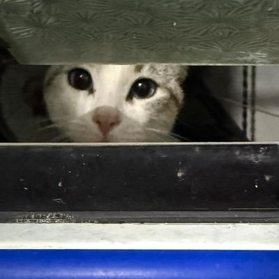 dellis_mar's profile picture. No lastimes a los demás con lo que te causa dolor a ti mismo🙏🏻