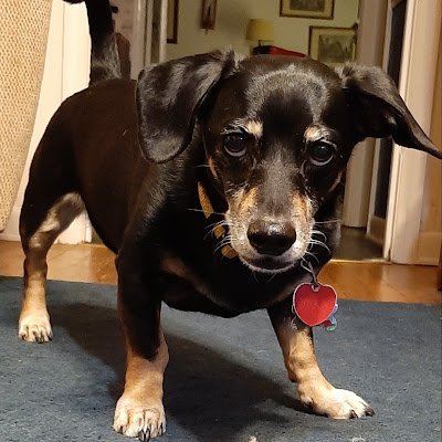 awsumt97's profile picture. 