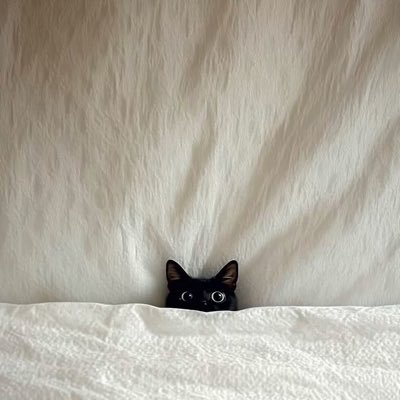 rosieposier2's profile picture. 