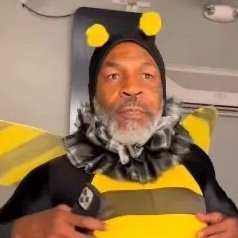 Bujubokiboki's profile picture. ばんぶるbee