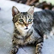 fredmung223's profile picture. A big freak Dm to chat wink
(also send nudes :3)