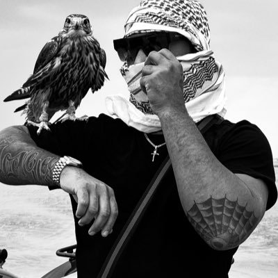 tretheceo's profile picture. building shit brb