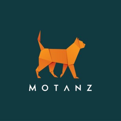 MotanzTech's profile picture. We offer a complete range of customized software solutions, AI integration, and IoT systems.
