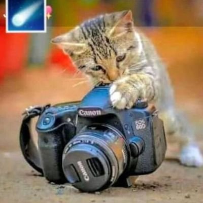 Mabdulqadir001's profile picture. Allah First 🙏
CRYPTO TRADER 📈📉 | AIRDROP HUNTER 💻 | WEB EXPLORER l Always Learning about Web3, Crypto and Future of Internet 

Let Make Money together 💲💲