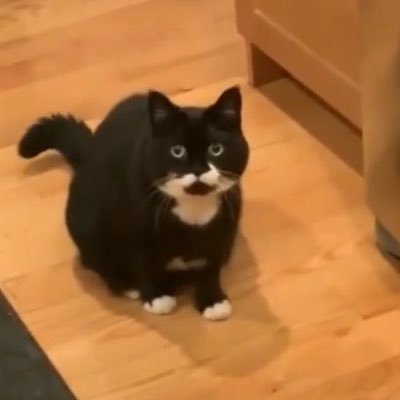 dontblxmematt's profile picture. 26 | he/him