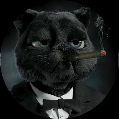 Steezy1000x's profile picture. TRENCHES | BUILDING THE BEST ALPHA | trade with me 10% discount ➡️https://t.co/iveHzfgsl0 | dm for marketing/inquiries 📨