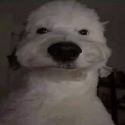 Boundless_pevzz's profile picture. @BoundlessOnYT 2026