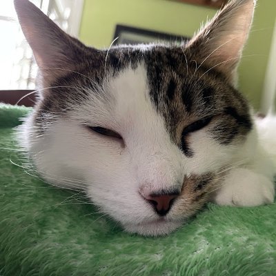 GamerParker123's profile picture. 