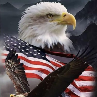 efet44260's profile picture. Ask