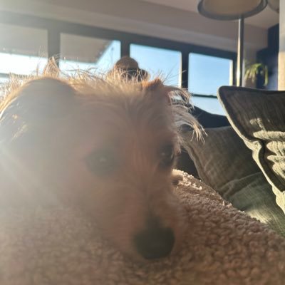 SholumShalumov's profile picture. LiveYourLife