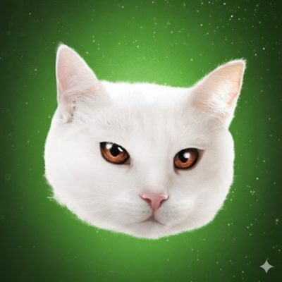 KishosClub's profile picture. Kisho’s Club a collection of 3,333 NFTs inscribed on the Pepecoin Network. #Pepinals #PepecoinNetwork #PEP