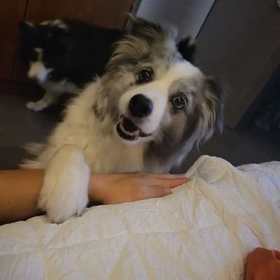 KimHyuJoong8's profile picture. 