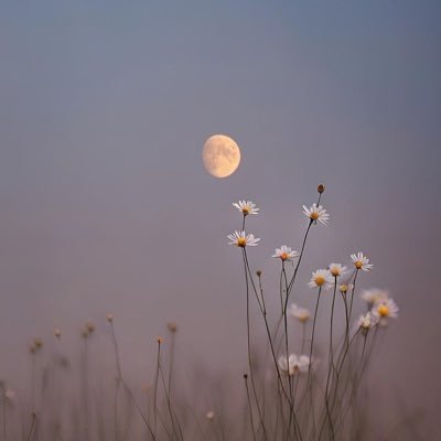 Dhhh3456's profile picture. سبحان الله وبحمده، سبحان الله العظيم