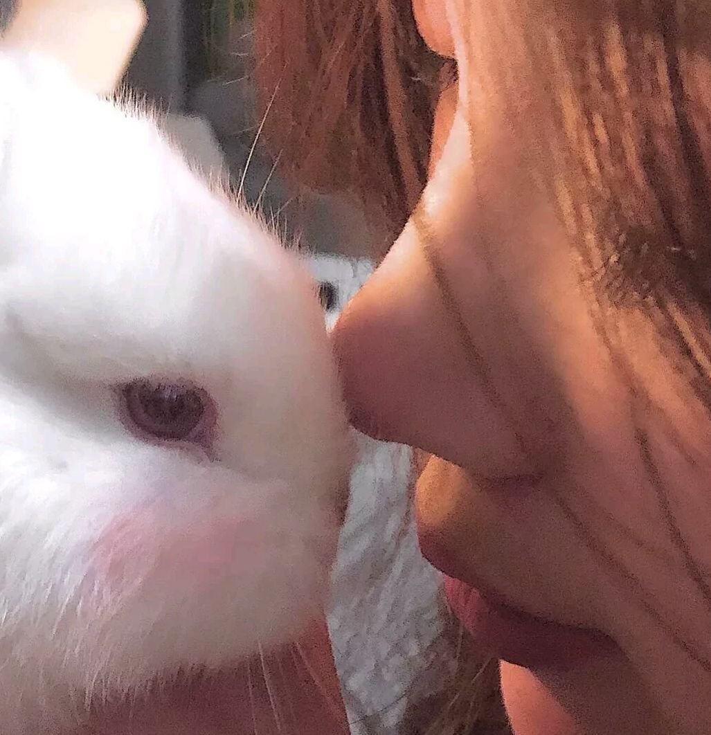 sholoniborder's profile picture. 02年刚入推❤️ 人去年刚毕业,白天有正常的工作,人美活好乖巧可爱可上门 清纯颜值天花板前凸后翘皮肤白嫩腰细腿长蜜桃臂吻69极度配合约的哥哥点我:@071933gin