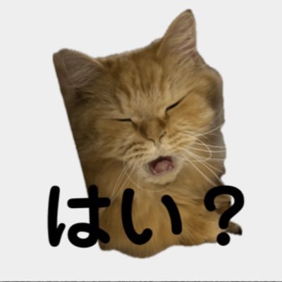 yukioyukionya's profile picture. 猫、服、シャドバWB色々垢(ฅ^･ω･^ ฅ)