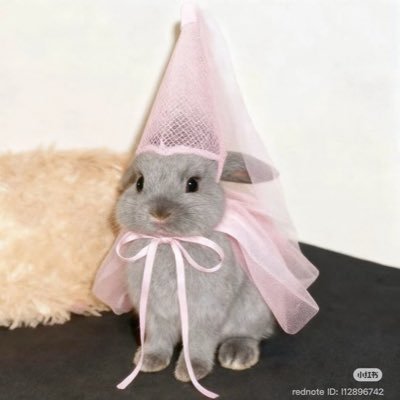 wayy2pretty4uu's profile picture. sleepiest girl in the world actually