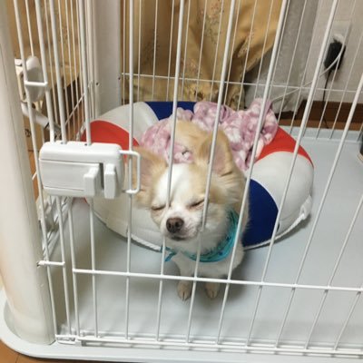 hikarunn1025's profile picture. ZeroPlus Webアプリケーションコース28期生