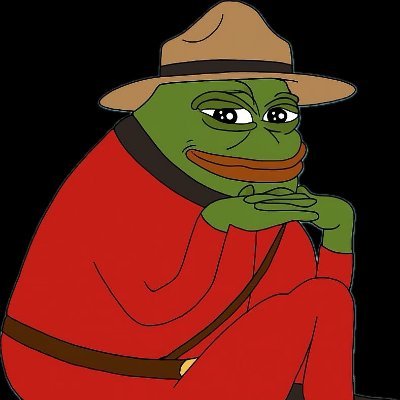 Inf0enjoyer's profile picture. Christ is King ✝️ | Canadian Nationalist  🇨🇦